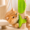 Clippers, shears and nail care collection banner