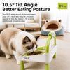 Elevated Ceramic Double Pet Bowls for Cats and Dogs