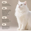 Stainless Steel Pet Grooming Comb for Cats & Dogs