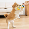 Squeaky Slipper Toy for Small Dogs