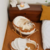 French-Style Cat Bed for Indoor Lounging