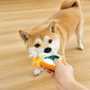 Squeaky Slipper Toy for Small Dogs