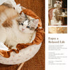 French-Style Cat Bed for Indoor Lounging