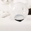 Clear Plastic Cone Collar for Cats