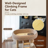 Low-Profile Cat Tree with Sisal Scratcher and Cat Bed