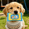Tissue Box-Style Squeaky Treat Toy for Small and Medium Dogs