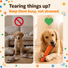 Interactive Rope Dog Toy for Tugging and Chewing