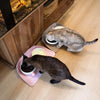 Raised-Edge Pet Bowl Placemat for Cats & Dogs