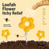 Natural Loofah Cat Toy with Catnip