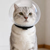 Clear Plastic Cone Collar for Cats