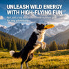 Floating Dog Flying Disc Toy for Fetch and Water Play
