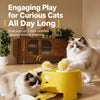 Electric Whack-a-Mole Cat Toy with Moving Feather Teaser