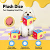 21-Hole Treat-Dispensing Dice Toy for Dogs
