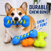 Double-Layer Squeaky Bone Toy for Dogs | FurlyJoy