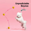 Squeaky Textured Ball Dog Toy