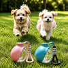 Portable Collapsible Dog Water Bowl for Walks and Travel