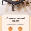 Elevated Mesh Dog Bed with Iron Frame