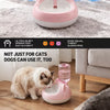 Automatic Refill Pet Water Dispenser for Dogs and Cats