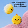 Squeaky Textured Ball Dog Toy