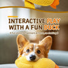 Plush Squeaky Dog Toys in Duck, Football & Pizza Designs