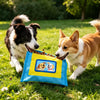 Tissue Box-Style Squeaky Treat Toy for Small and Medium Dogs
