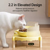 Elevated Ceramic Double Bowl Stand for Cats & Dogs