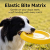 Floating Dog Flying Disc Toy for Fetch and Water Play