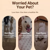 Elevated Mesh Dog Bed with Iron Frame