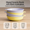 Elevated Ceramic Double Bowl Stand for Cats & Dogs