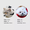 Mesh Front-Carrying Pet Backpack for Small Dogs and Cats