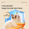 Double-Layer Cat Litter Mat with Collection Pocket