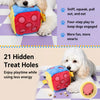 21-Hole Treat-Dispensing Dice Toy for Dogs