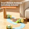 Rechargeable Automatic Cat Toy – Mouse and Toy Car Styles
