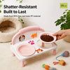 Elevated Ceramic Double Pet Bowls for Cats and Dogs