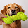 Double-Layer Squeaky Bone Toy for Dogs | FurlyJoy