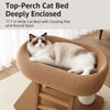 Integrated Cat Scratcher and Resting Bed