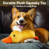 Plush Squeaky Dog Toys in Duck, Football & Pizza Designs