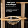 Cat Tree with Scratching Post, Enclosed Cat House & Platforms