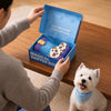 Boot-Shaped Sniffing Toy for Dogs with Crinkle and Squeak Sounds