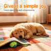 Interactive Rope Dog Toy for Tugging and Chewing