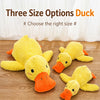 Plush Squeaky Dog Toys in Duck, Football & Pizza Designs