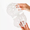 Clear Plastic Cone Collar for Cats