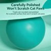 Cat Spinning Wheel Toy with Feather Wand