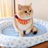 Water-Resistant Nylon Pet Mat