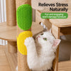 Silicone Pet Bath & Grooming Brush
