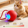 Automatic Cat Teaser Ball with 3 Play Modes