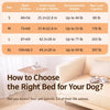 Elevated Mesh Dog Bed with Iron Frame