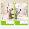 Electric Cat Teaser Toy for Interactive Indoor Play