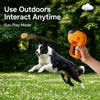 Interactive Treat-Dispensing Dog Toy for Play and Training