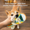 Squeaky Slipper Toy for Small Dogs
